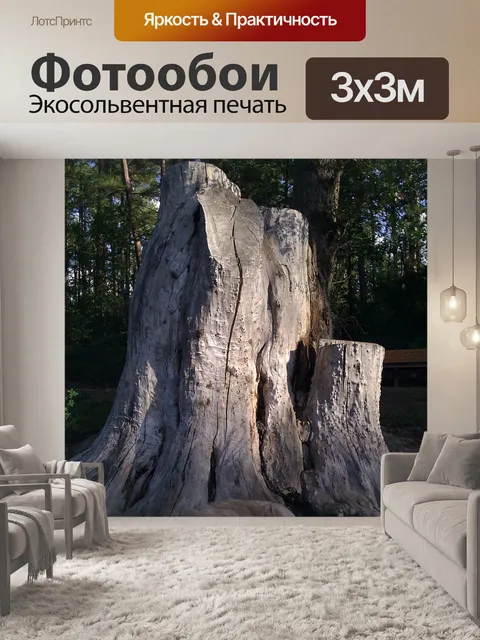 Фотообои Пень