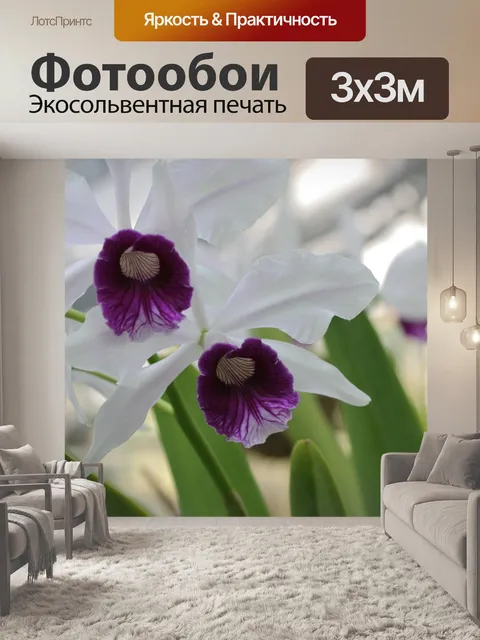 Фотообои Цветок