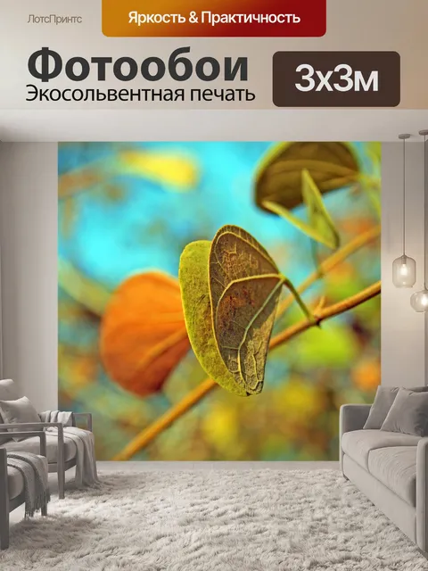 Фотообои гордость мыса листа