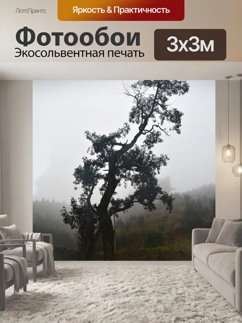 Фотообои Торрея