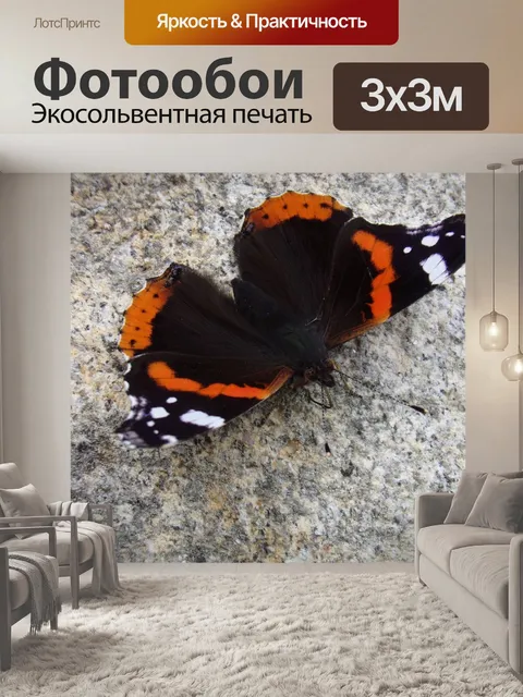 Фотообои Бабочка черный белый красный