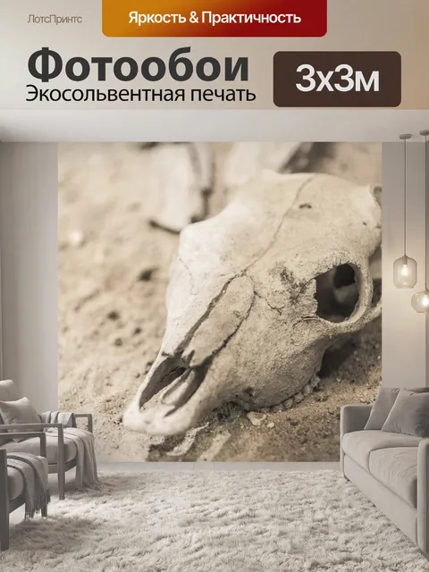 Фотообои Бычий череп