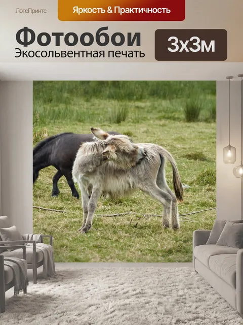 Фотообои Осел на лугу
