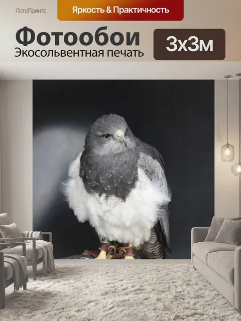 Фотообои Совы