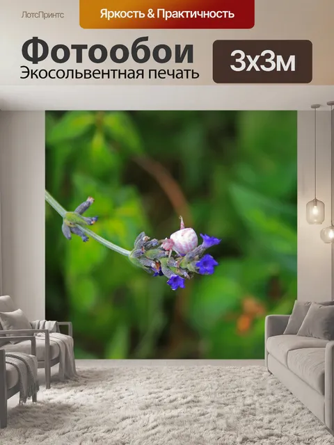 Фотообои розовый и белый краб паук на цветке
