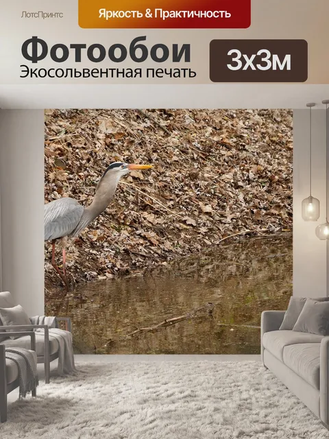 Фотообои Большая голубая цапля