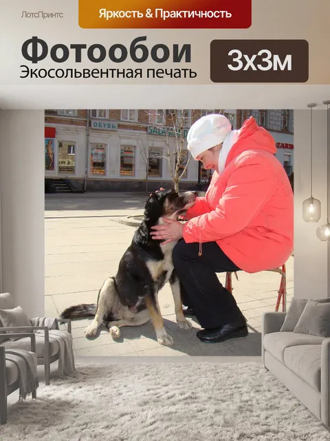 Фотообои Собака