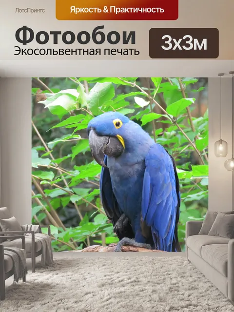 Фотообои Красивая птица