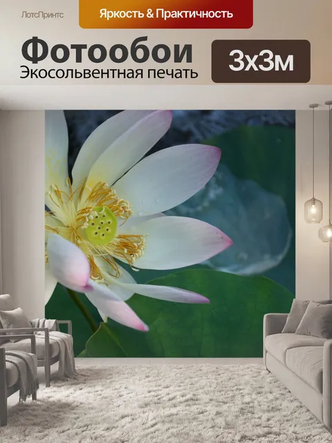 Фотообои Водяная лилия
