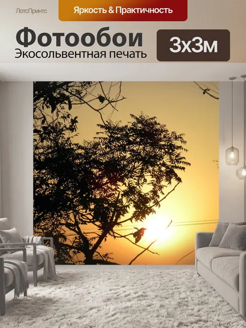 Фотообои Утро