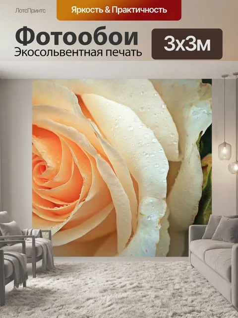 Фотообои Роуз