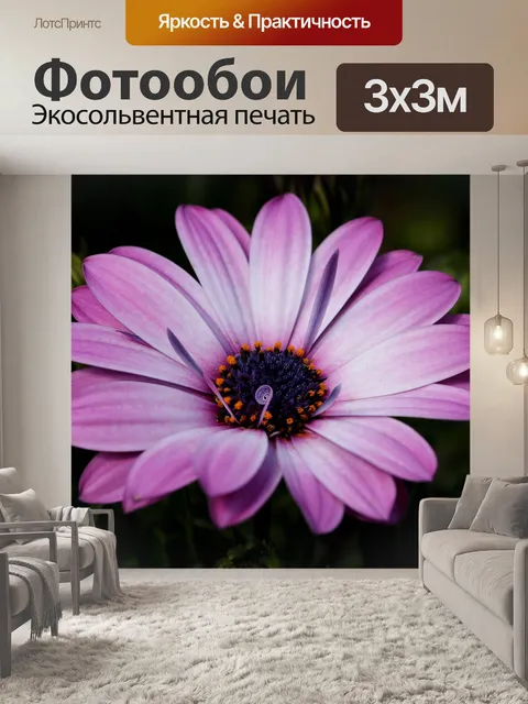Фотообои Увидеть супер максимум