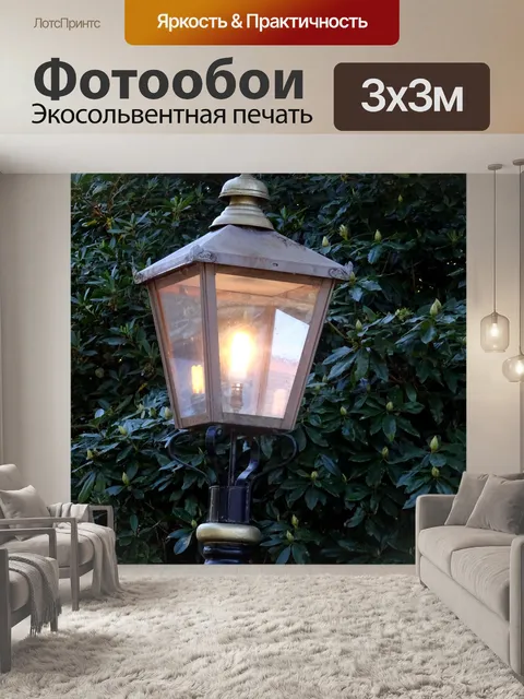 Фотообои Классическая наружная вечерняя лампа