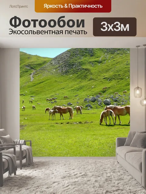 Фотообои Лошади