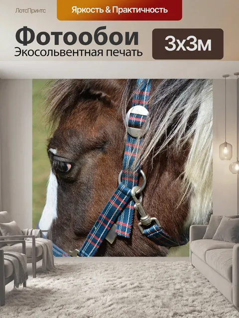 Фотообои Лошадь