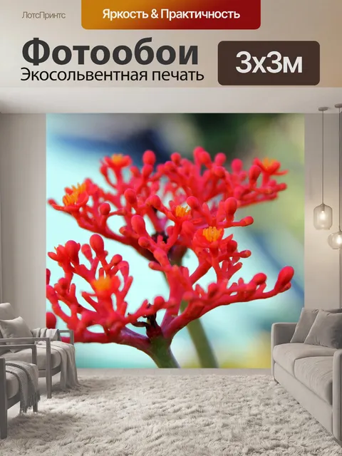 Фотообои красные цветы 2