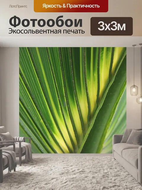 Фотообои Пальмовый лист