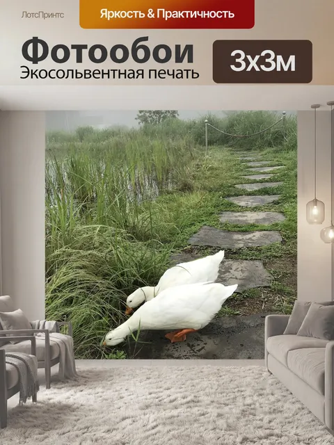 Фотообои Утка