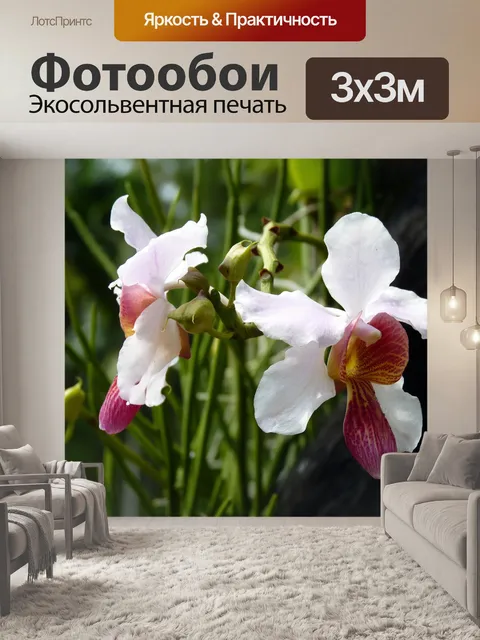 Фотообои Цветы