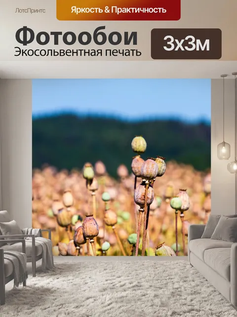 Фотообои Маковые капсулы