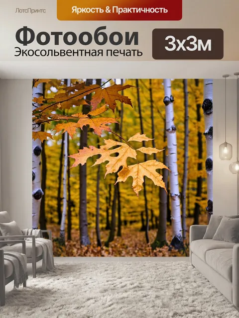 Фотообои осенние листья в березовой рощи