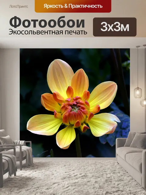 Фотообои георгин