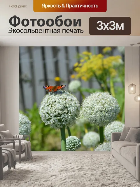 Фотообои Цветы