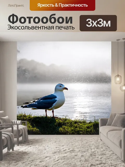 Фотообои в утреннем тумане на берегу тихого озера сидит черноспинная чайка