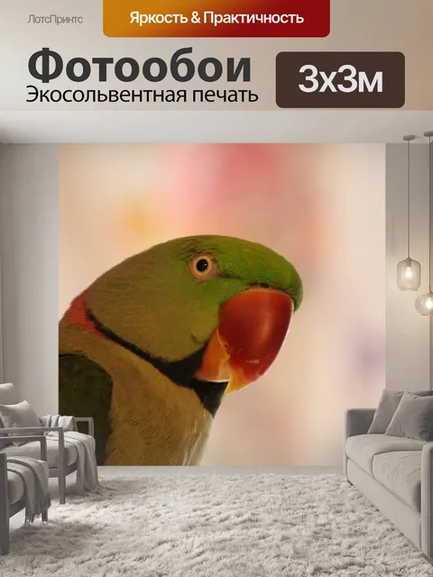 Фотообои Птица