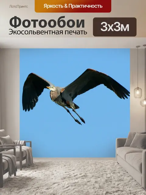 Фотообои Большая голубая цапля