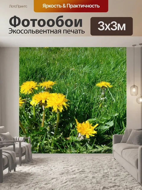 Фотообои Цветы