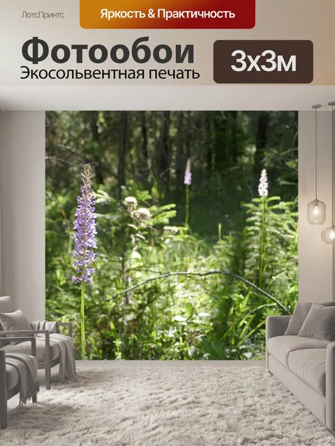 Фотообои Лес