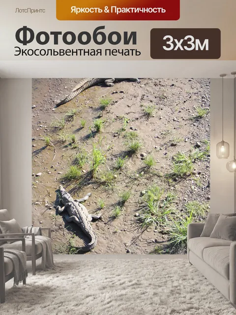 Фотообои Коста-Рика Крокодил