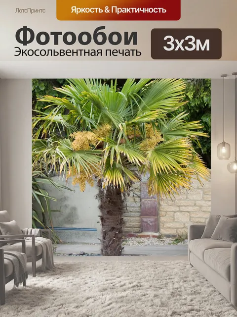 Фотообои Пальма