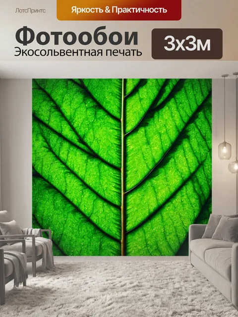 Фотообои зеленые в стиле флэт, структуры листьев, текстуры природы, природные формы