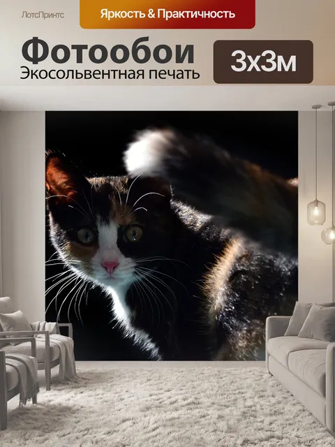 Фотообои Домашний питомец