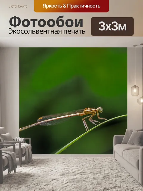 Фотообои Белый legged равнокрылые стрекозы змеешейка