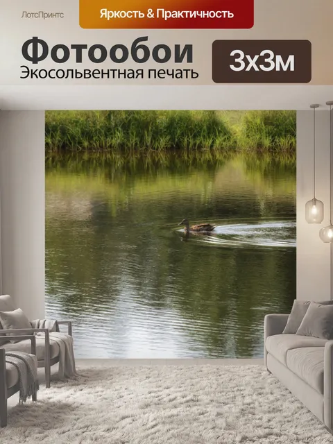 Фотообои Утки на озере