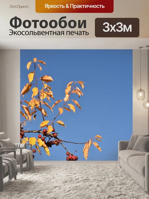 Фотообои Осень