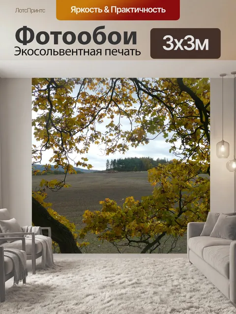 Фотообои Осенью