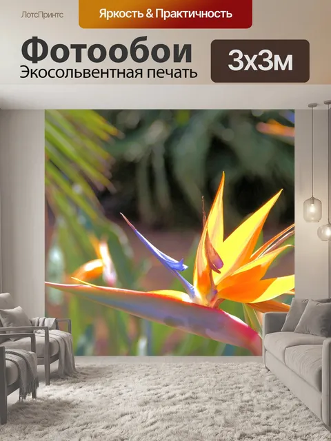 Фотообои Райские птицы