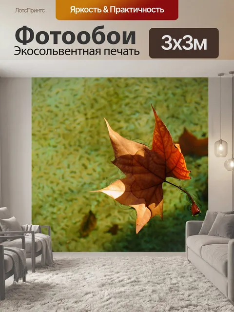 Фотообои Лист