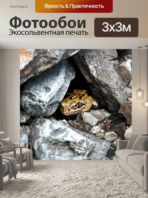 Фотообои Жаба