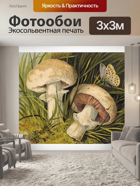 Фотообои Винтажное искусство грибы бабочка