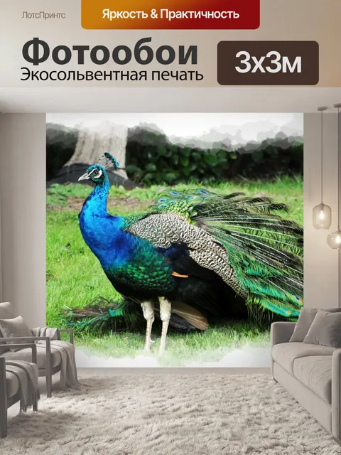 Фотообои павлин