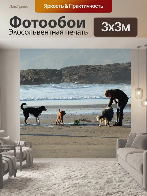 Фотообои Собаки