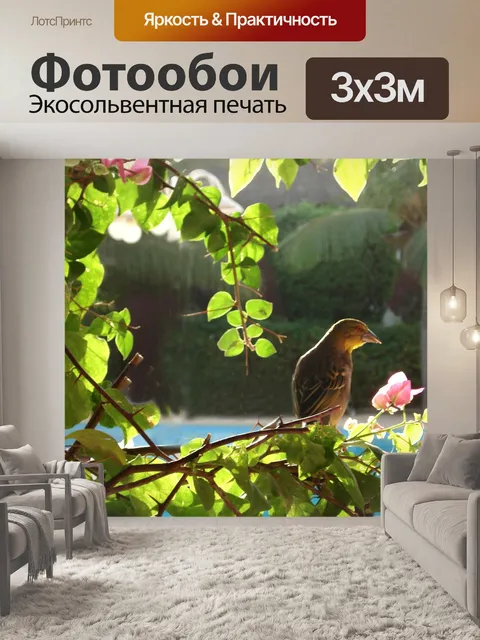 Фотообои Птица