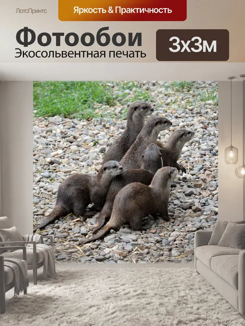Фотообои Семья выдры