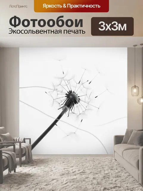 Фотообои Одуванчик в черно-белом макро