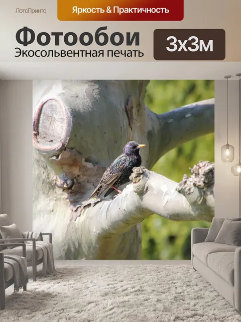 Фотообои Природа